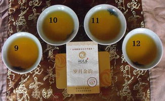 一茶一世界，一飲一傾心 潤元昌歲月金韻茶樣試喝體驗