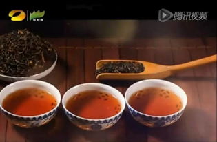 潤(rùn)元昌柑普茶 湖南廣電茶頻道傾情推薦，品味地道茶香